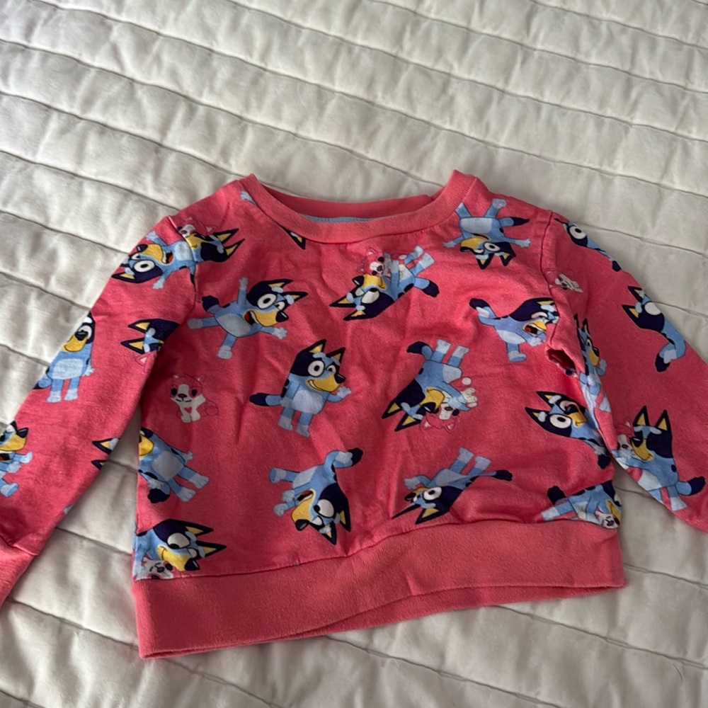 Like new! Bluey pink sweatshirt 3t